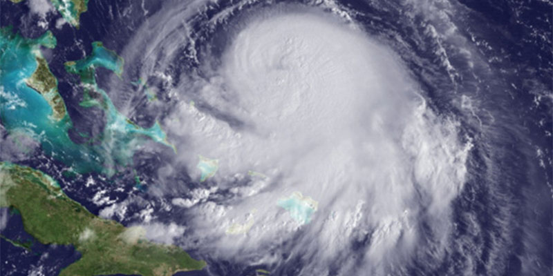 Got Mold? Preparing for the Aftermath of Hurricane Joaquin