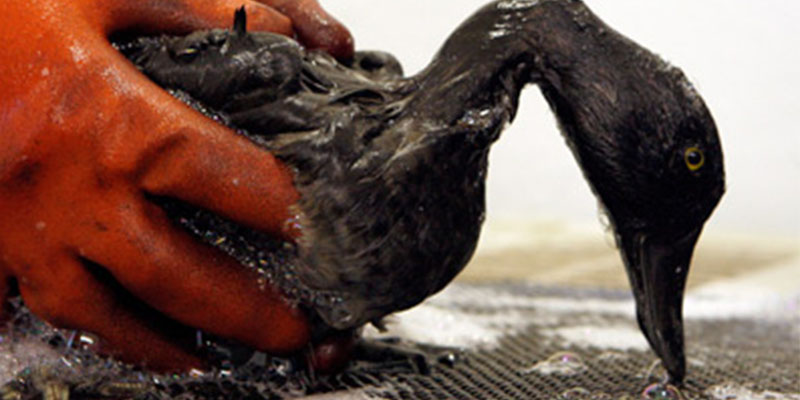 Importance of Keeping Oil Spill Prevention Plans Current
